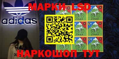 тгк Пенза