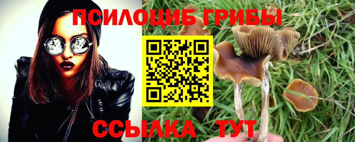 Пыть-Ях  Псилоцибиновые грибы Cubensis  где купить наркоту  Вход с VPN 